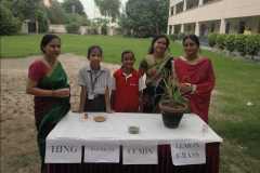 WhatsApp-Image-2025-05-16-at-11.05.53-AM