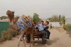 WhatsApp-Image-2025-05-16-at-11.05.55-AM