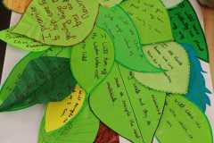 WhatsApp-Image-2025-05-16-at-11.13.11-AM