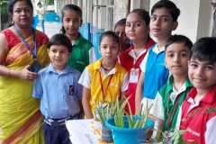 Science-Activities-1