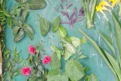 Science-Activities-2